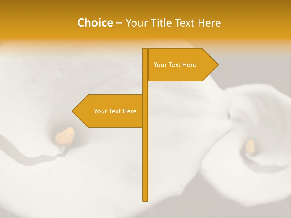 Beautiful Perfect Center PowerPoint Template