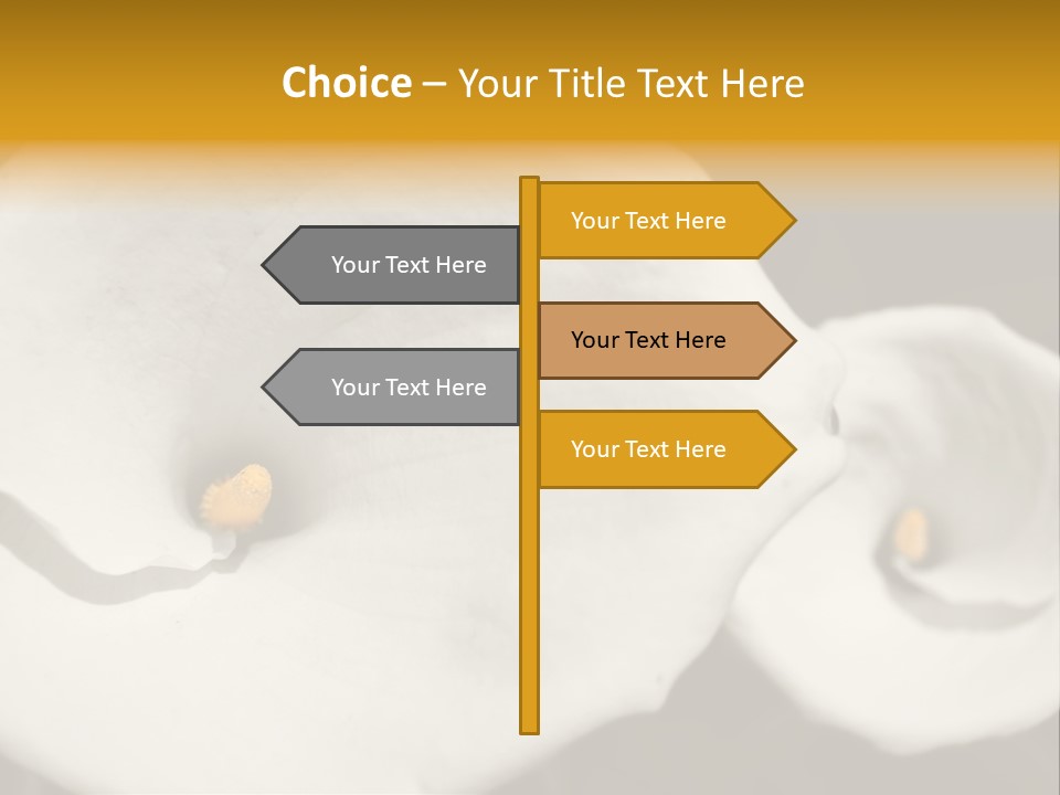 Beautiful Perfect Center PowerPoint Template