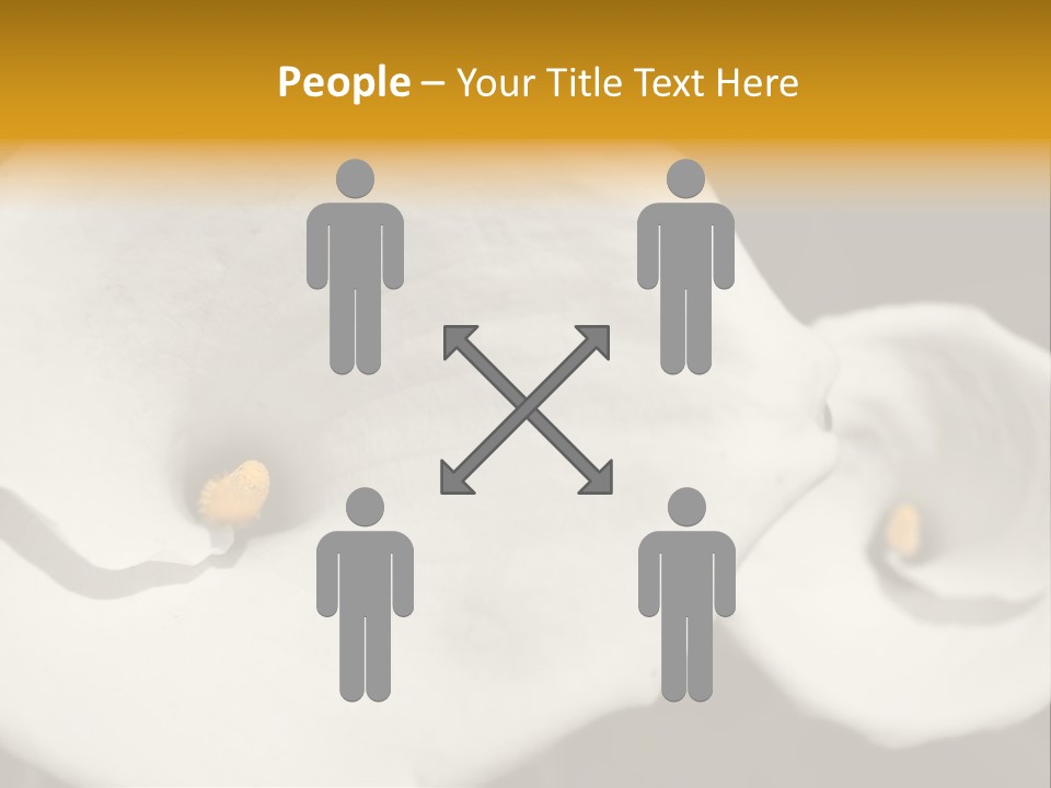 Beautiful Perfect Center PowerPoint Template