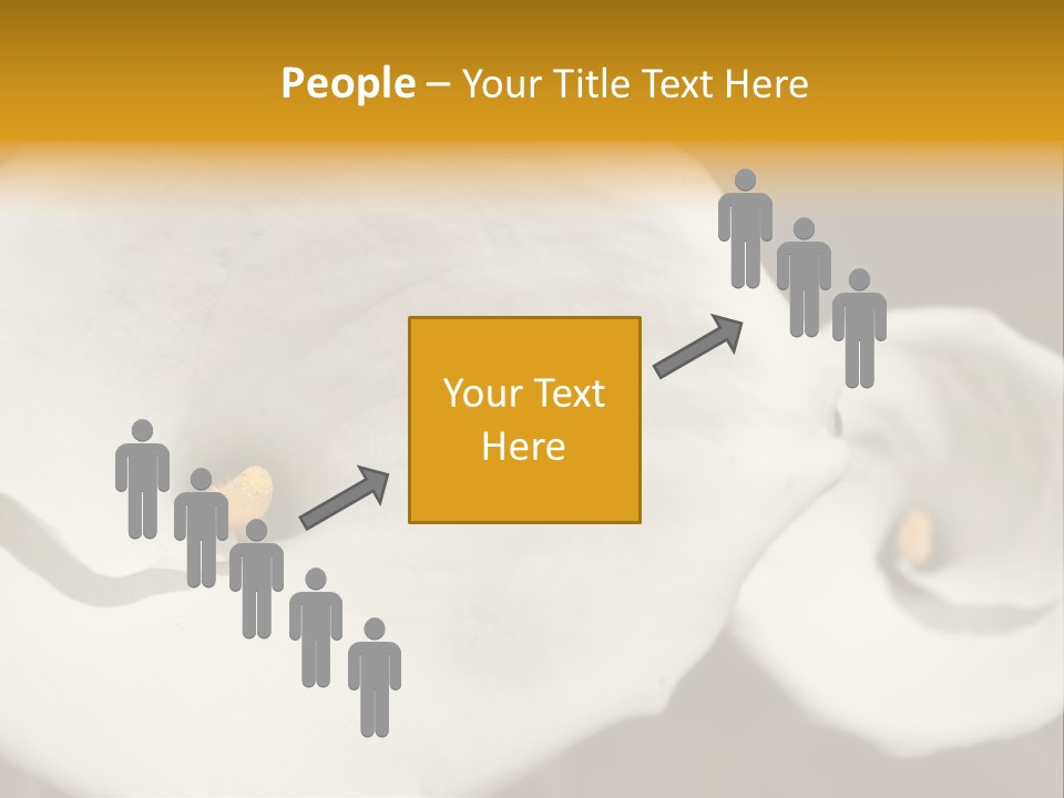 Beautiful Perfect Center PowerPoint Template