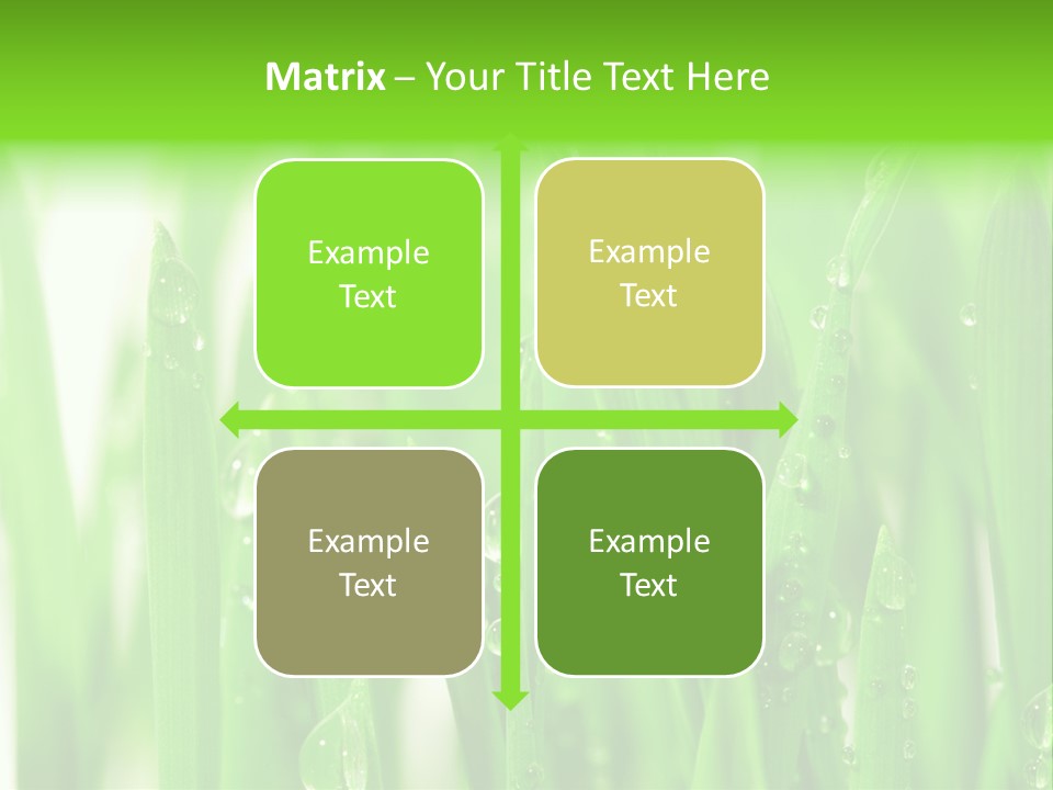 Background Meadow Wet PowerPoint Template