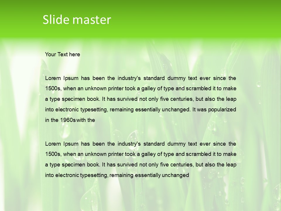 Background Meadow Wet PowerPoint Template