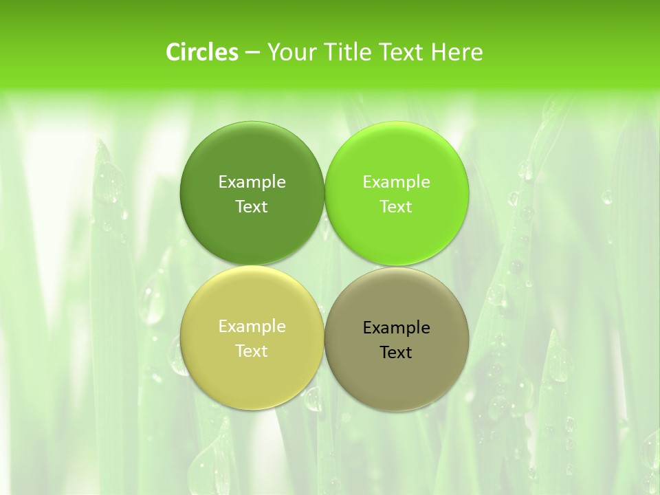 Background Meadow Wet PowerPoint Template