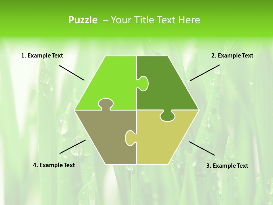 Background Meadow Wet PowerPoint Template