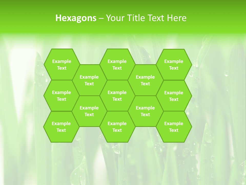 Background Meadow Wet PowerPoint Template