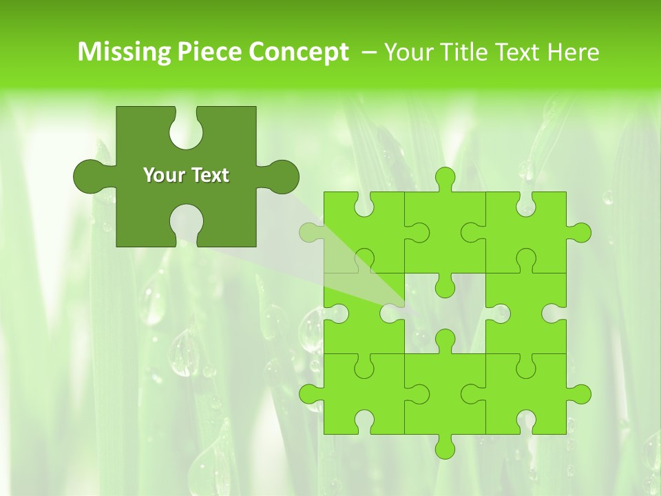 Background Meadow Wet PowerPoint Template