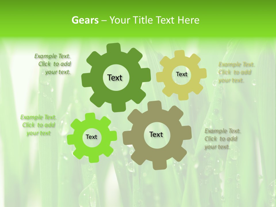 Background Meadow Wet PowerPoint Template