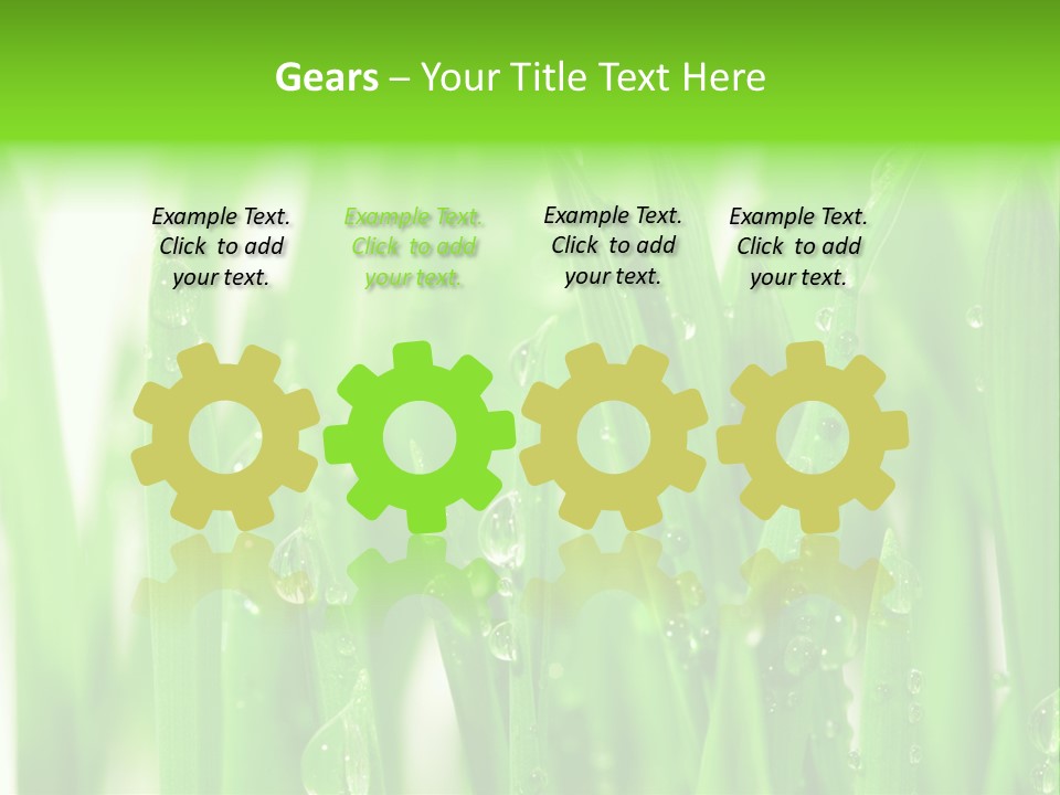 Background Meadow Wet PowerPoint Template