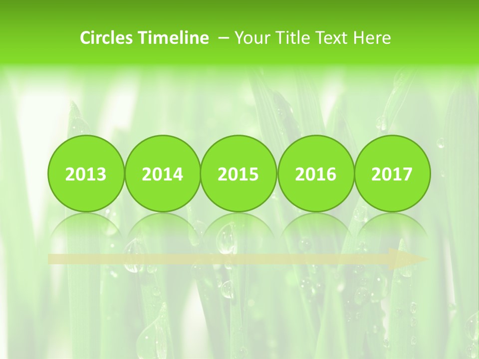 Background Meadow Wet PowerPoint Template