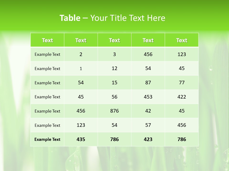 Background Meadow Wet PowerPoint Template
