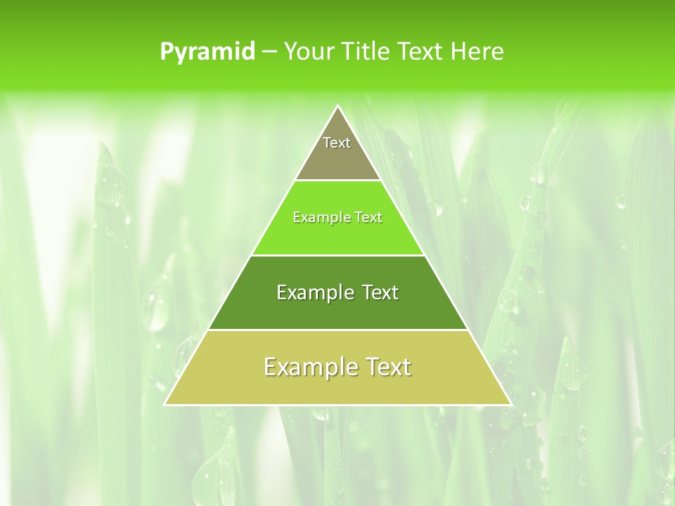 Background Meadow Wet PowerPoint Template