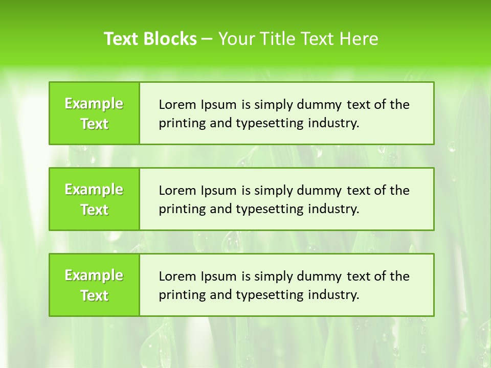 Background Meadow Wet PowerPoint Template