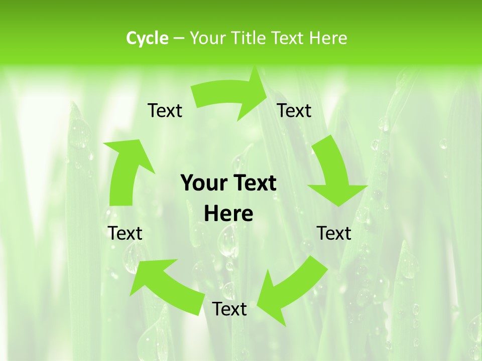 Background Meadow Wet PowerPoint Template