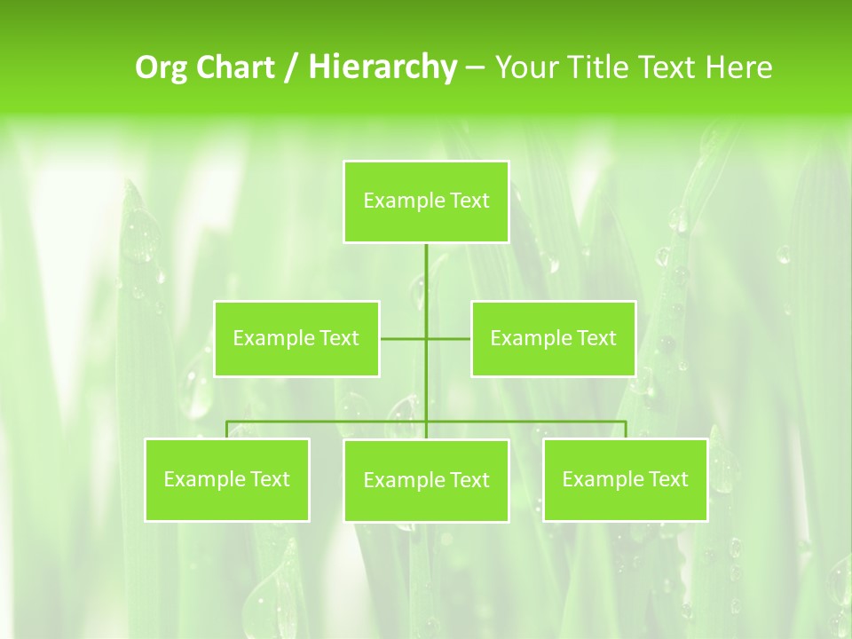 Background Meadow Wet PowerPoint Template