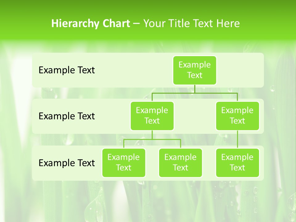 Background Meadow Wet PowerPoint Template