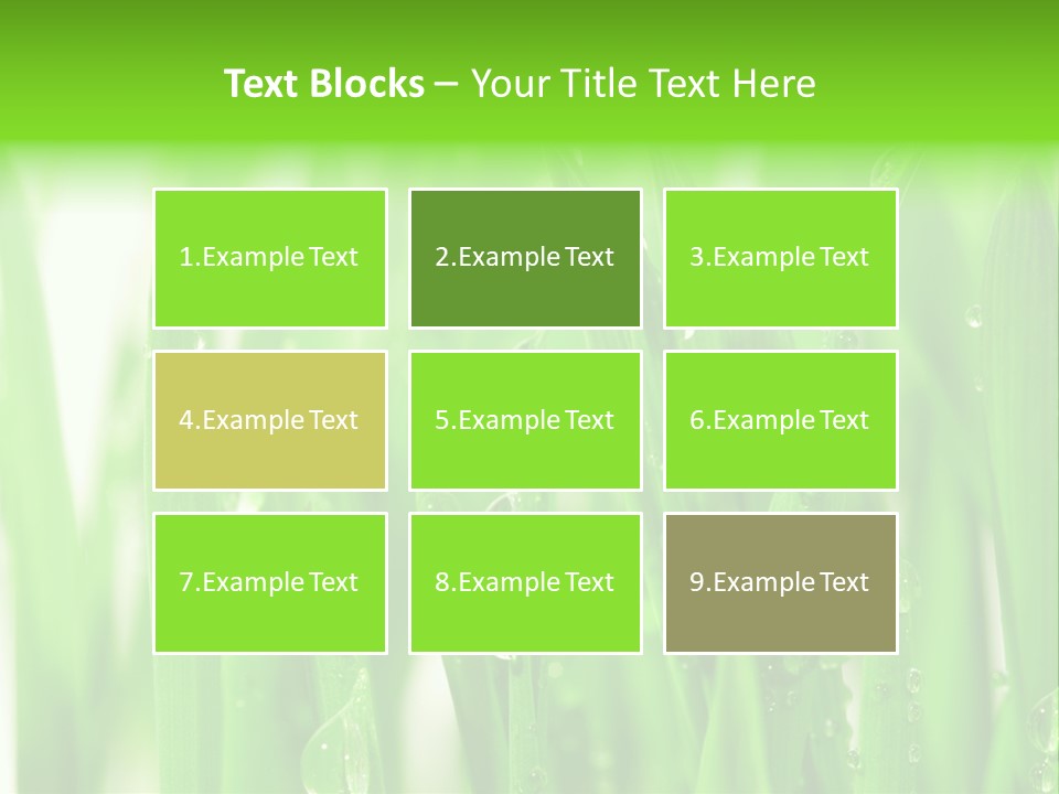 Background Meadow Wet PowerPoint Template