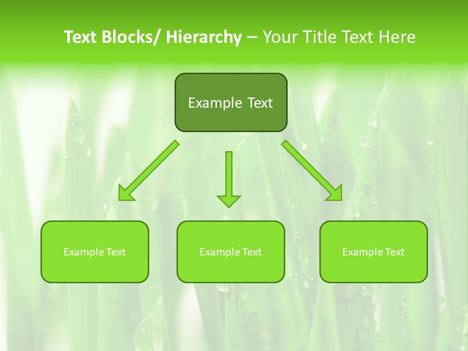 Background Meadow Wet PowerPoint Template