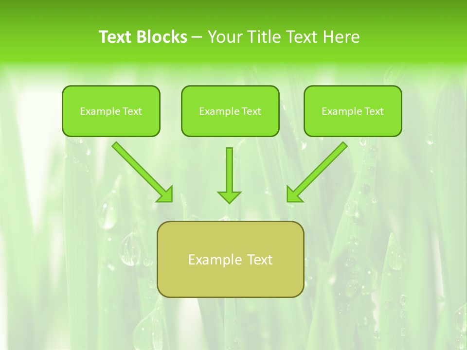 Background Meadow Wet PowerPoint Template
