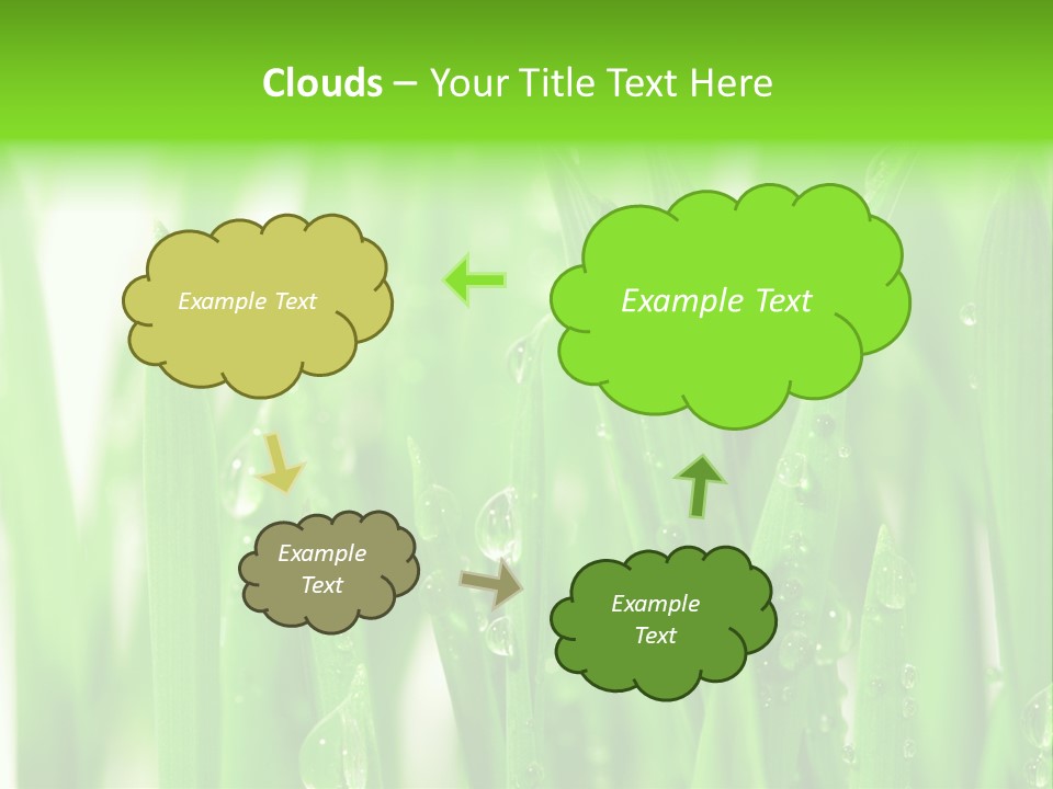 Background Meadow Wet PowerPoint Template