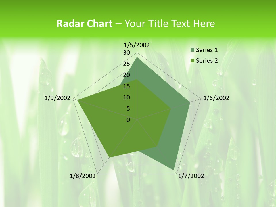 Background Meadow Wet PowerPoint Template