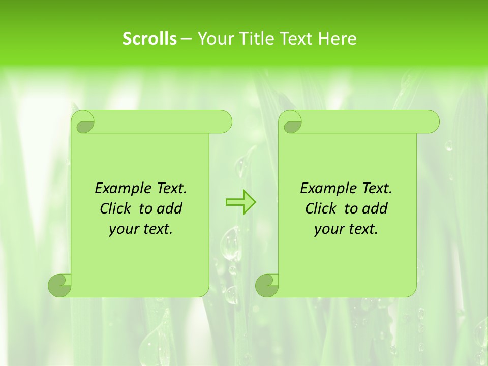 Background Meadow Wet PowerPoint Template