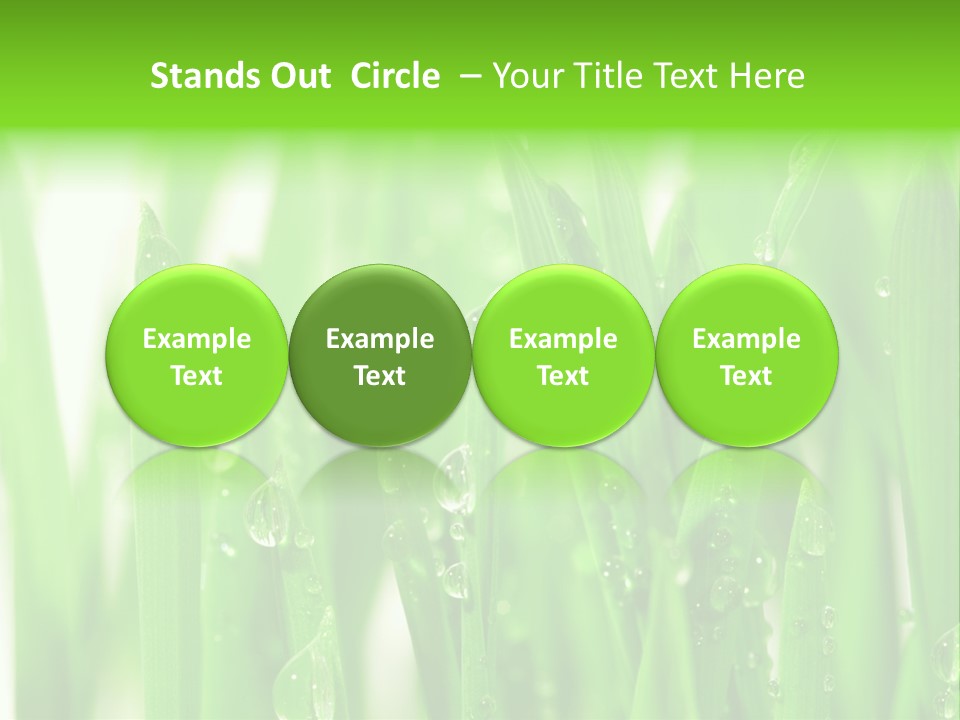 Background Meadow Wet PowerPoint Template