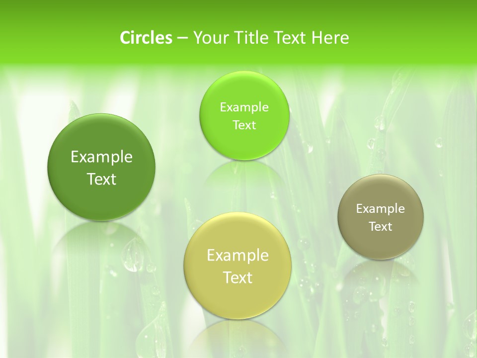 Background Meadow Wet PowerPoint Template