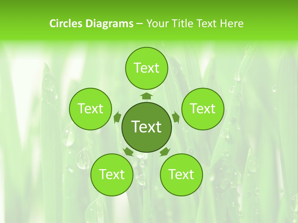 Background Meadow Wet PowerPoint Template