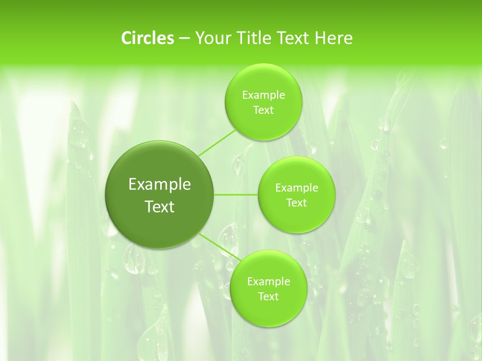 Background Meadow Wet PowerPoint Template