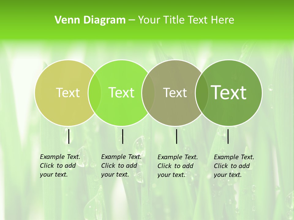 Background Meadow Wet PowerPoint Template