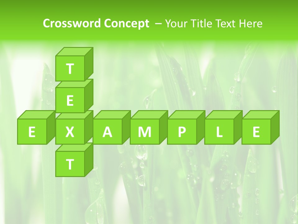 Background Meadow Wet PowerPoint Template