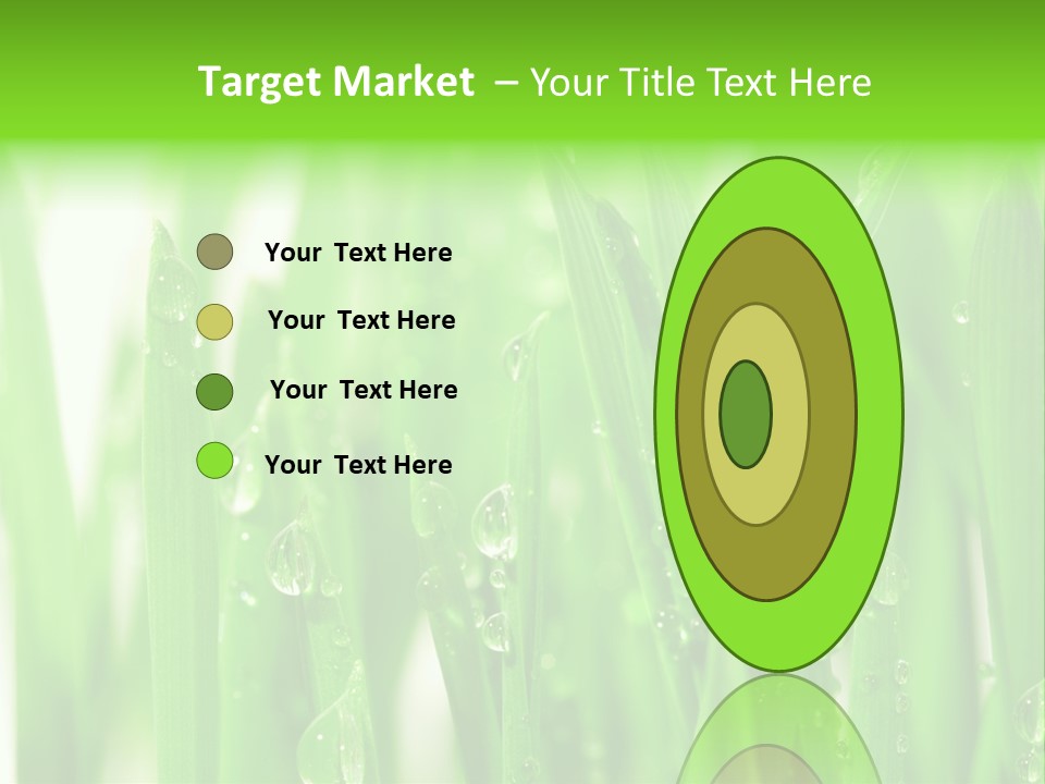 Background Meadow Wet PowerPoint Template