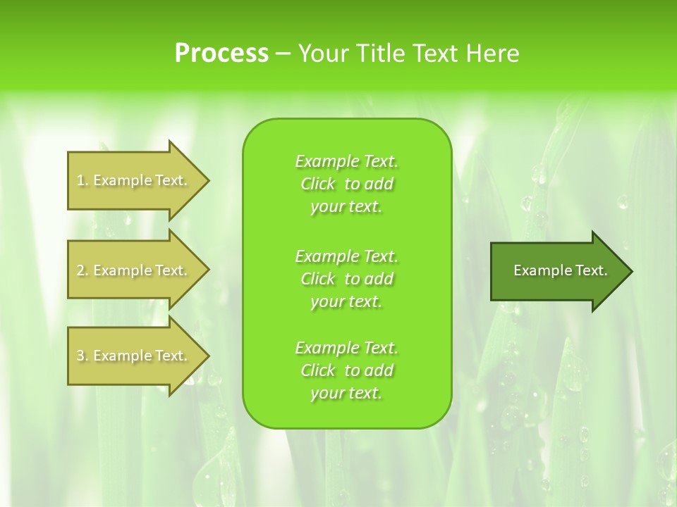 Background Meadow Wet PowerPoint Template