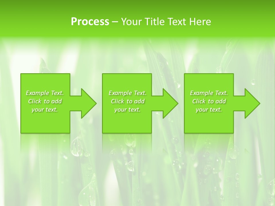 Background Meadow Wet PowerPoint Template