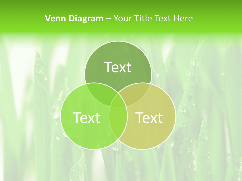 Background Meadow Wet PowerPoint Template