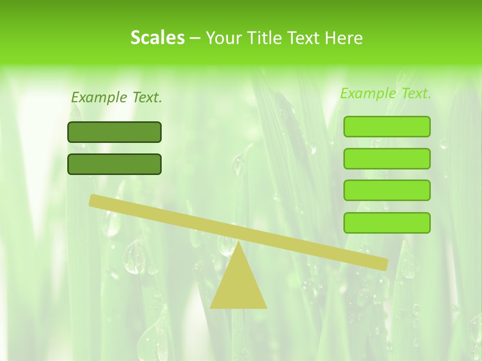 Background Meadow Wet PowerPoint Template