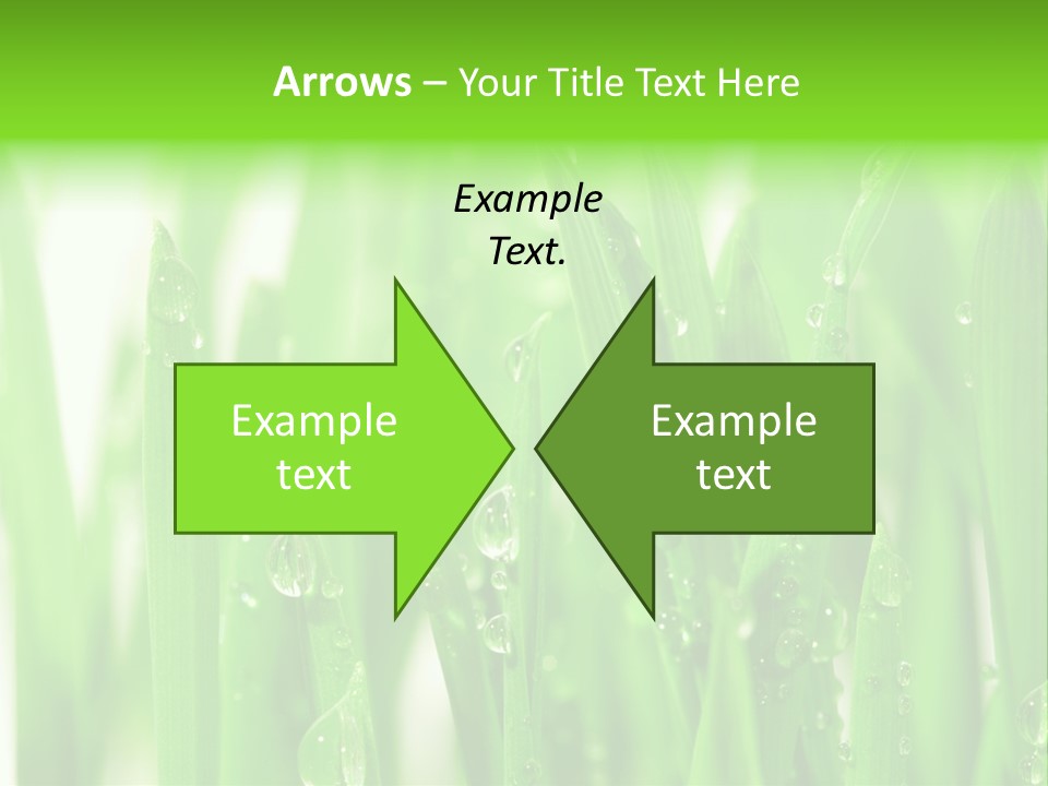 Background Meadow Wet PowerPoint Template