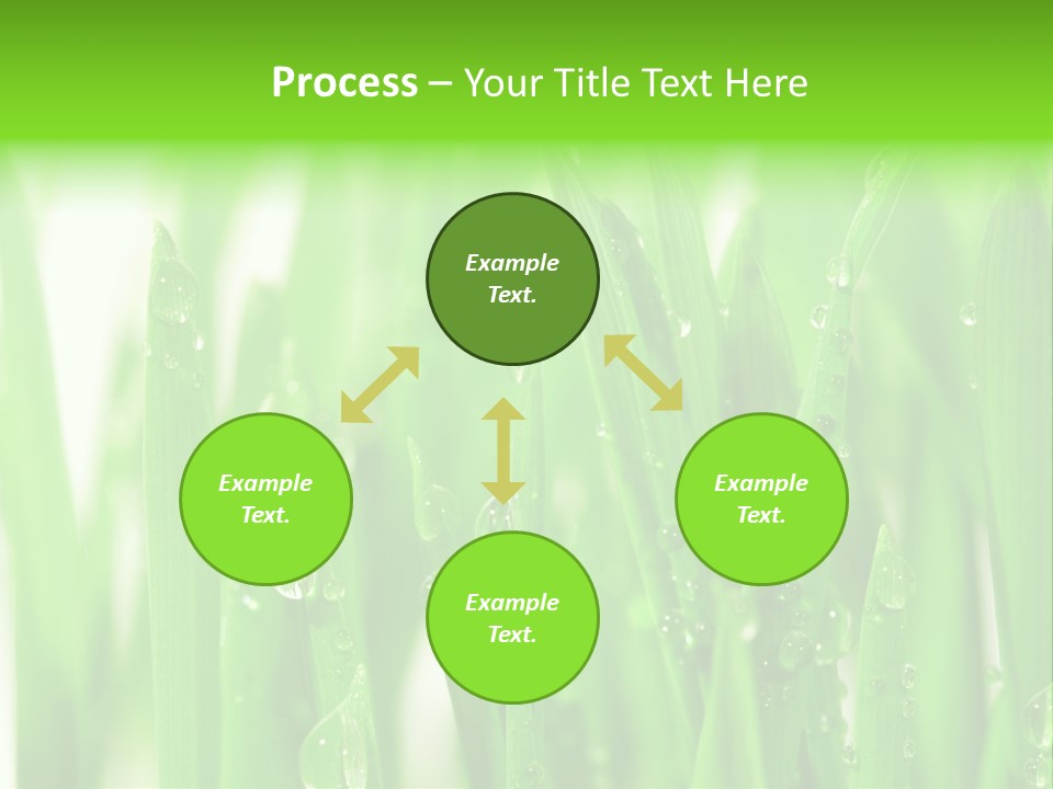 Background Meadow Wet PowerPoint Template
