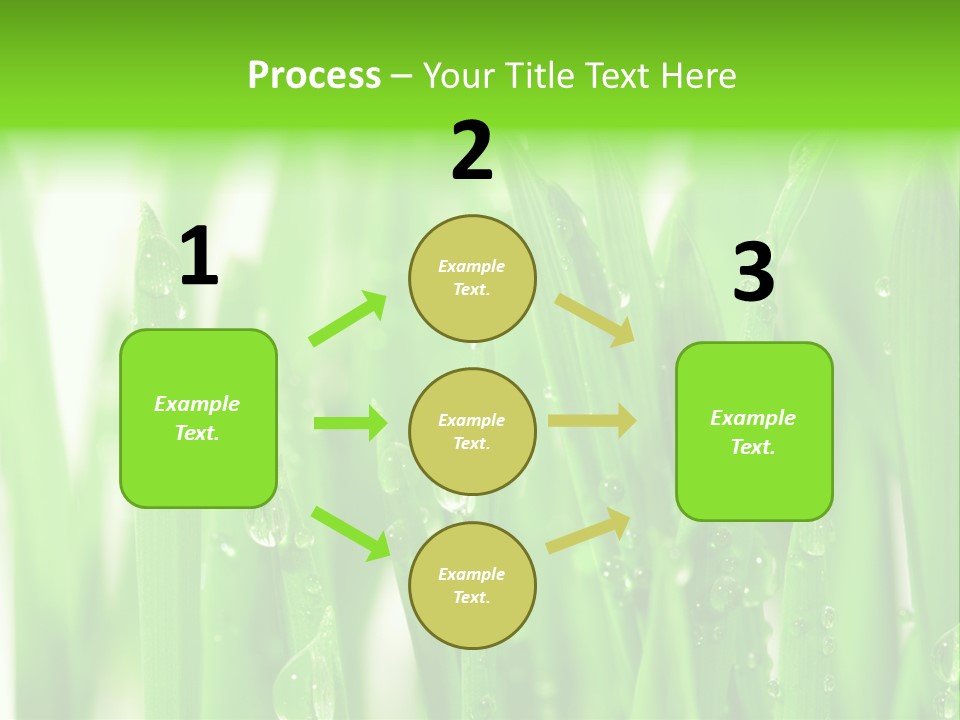 Background Meadow Wet PowerPoint Template