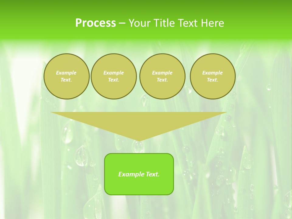 Background Meadow Wet PowerPoint Template