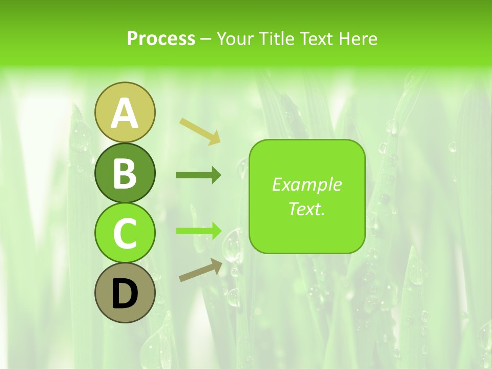 Background Meadow Wet PowerPoint Template