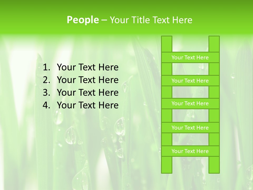 Background Meadow Wet PowerPoint Template