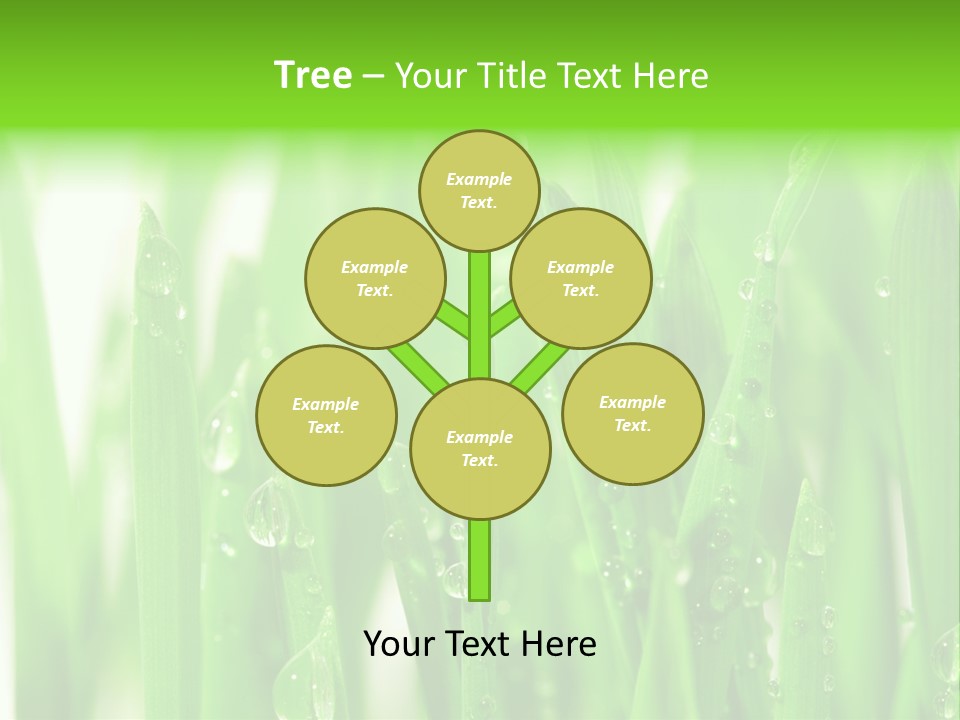 Background Meadow Wet PowerPoint Template