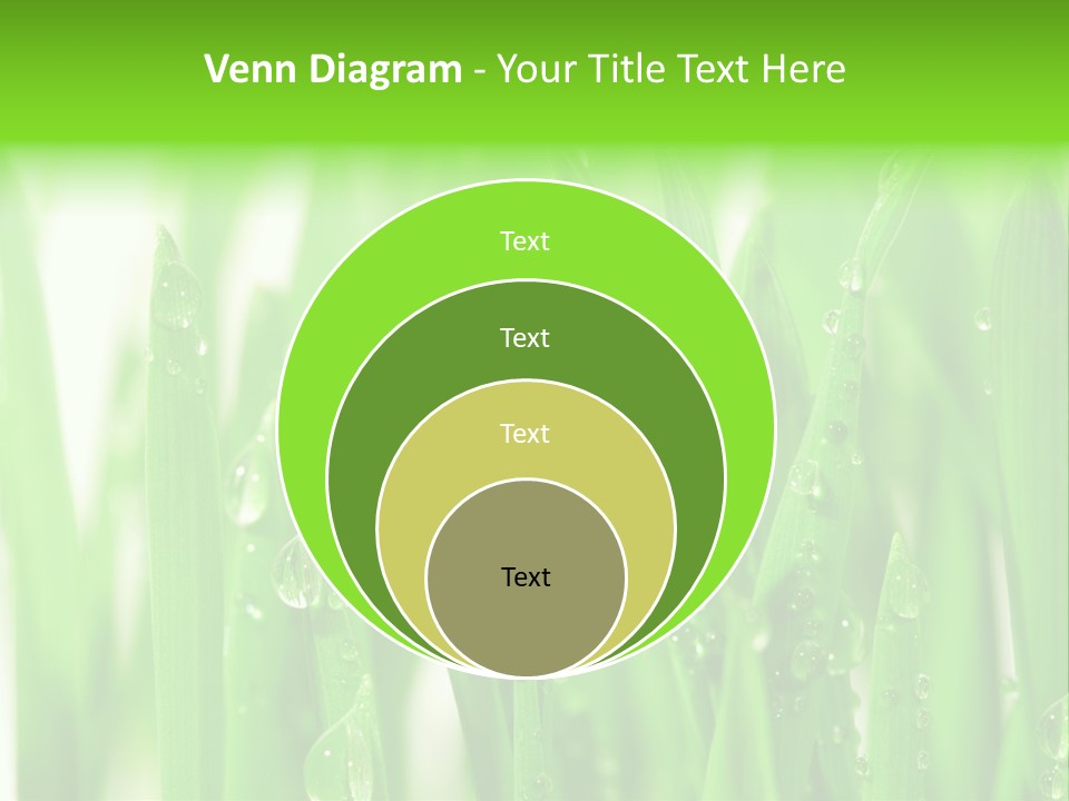 Background Meadow Wet PowerPoint Template