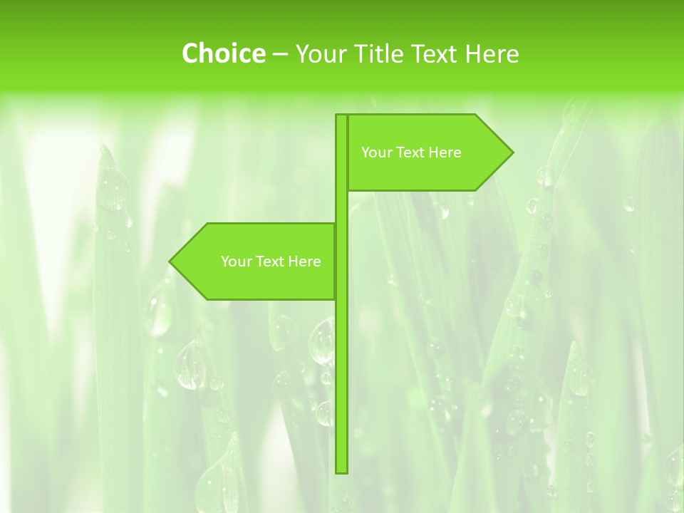 Background Meadow Wet PowerPoint Template