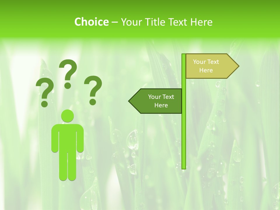 Background Meadow Wet PowerPoint Template