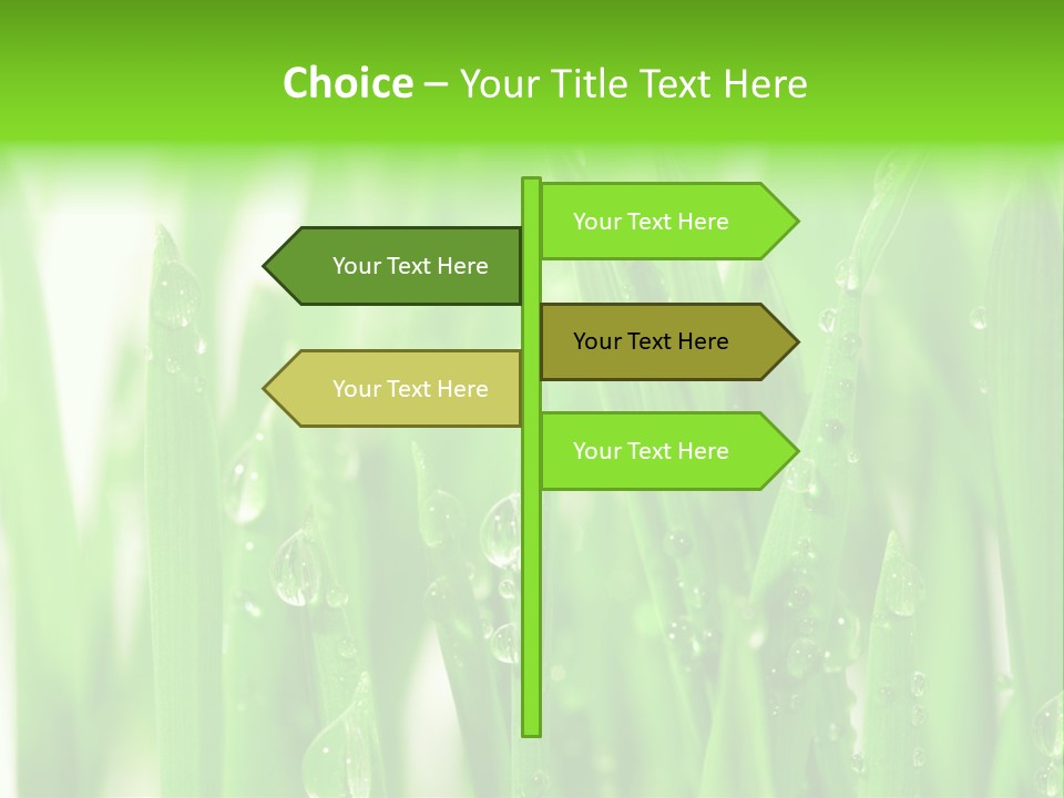 Background Meadow Wet PowerPoint Template