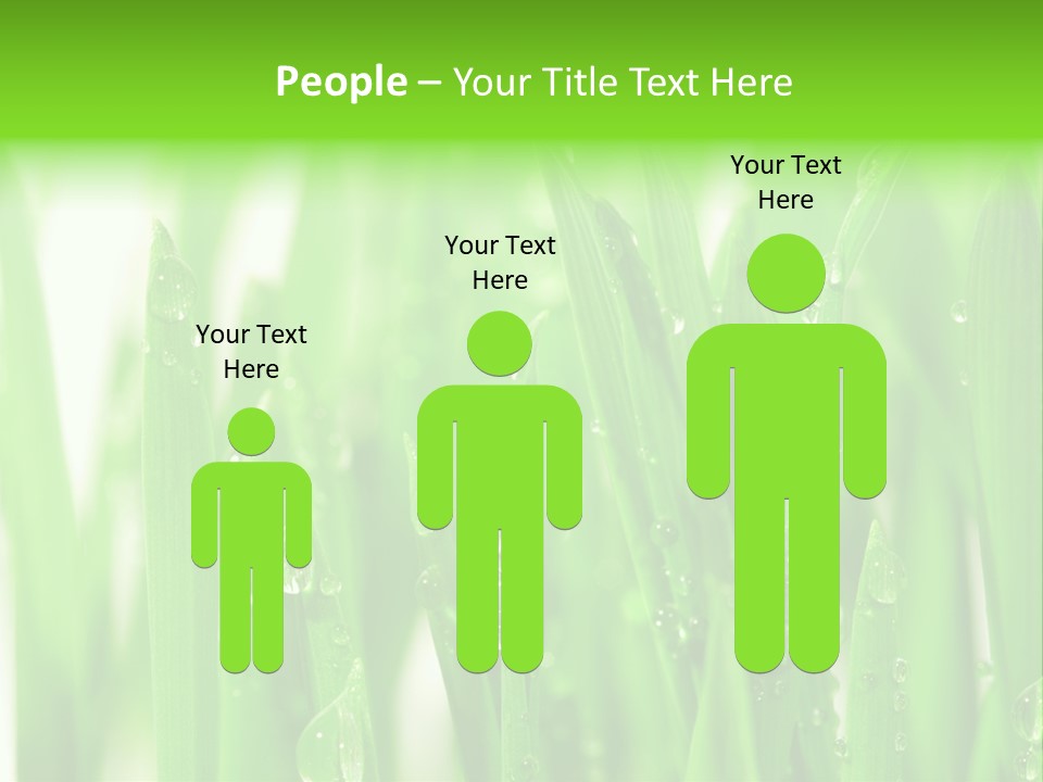 Background Meadow Wet PowerPoint Template