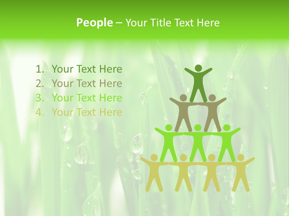 Background Meadow Wet PowerPoint Template