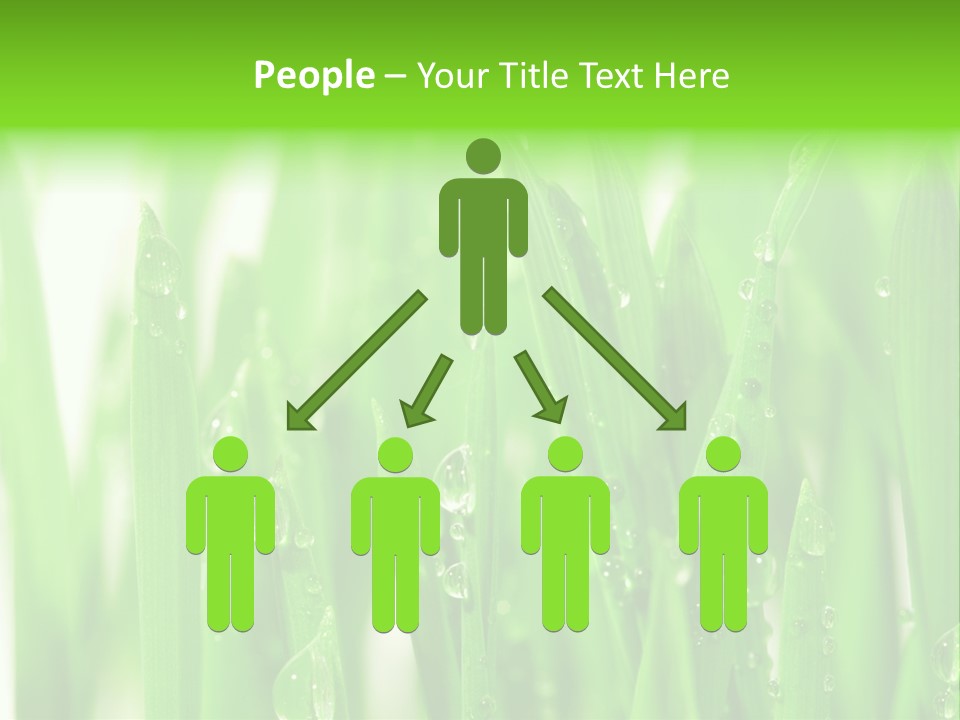 Background Meadow Wet PowerPoint Template